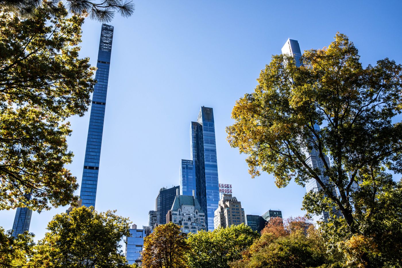 New York skyline framed by sunlit trees in Central Park
