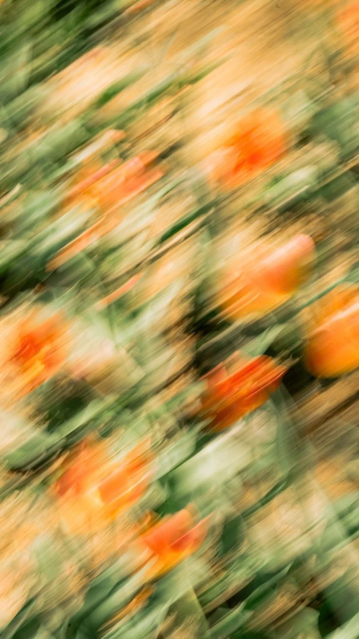 Warm, blurred orange flowers and green leaves in motion